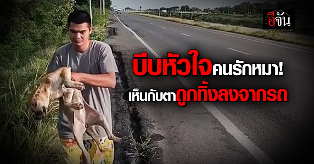 บีบหัวใจ! โยนหมา ลงจากรถ ทิ้งไว้ข้างทาง สภาพน่าเวทนา
