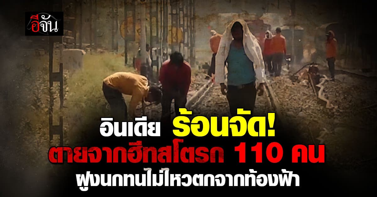 อินเดีย ร้อนจัด! ตายจากฮีทสโตรก 110 คน ฝูงนกทนไม่ไหวตกจากท้องฟ้า