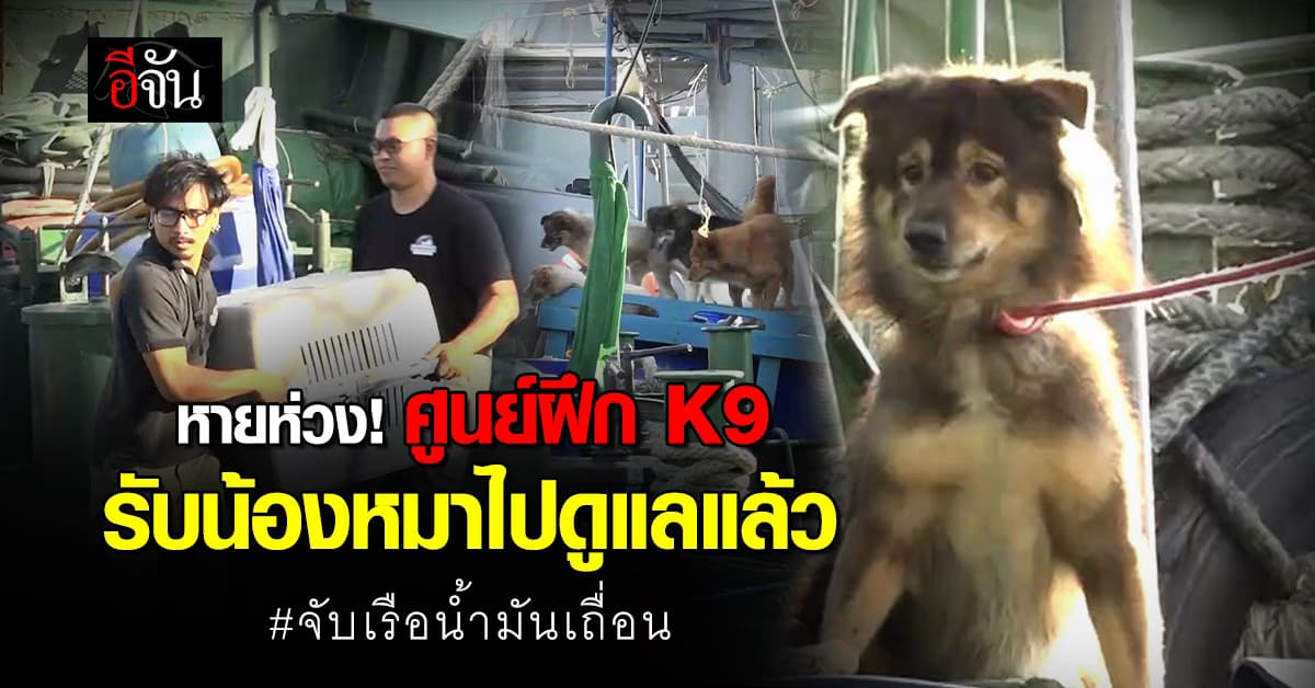 หายห่วง! ศูนย์ฝึก K9 รับน้องหมาบนเรือน้ำมันเถื่อนไปดูแลแล้ว 