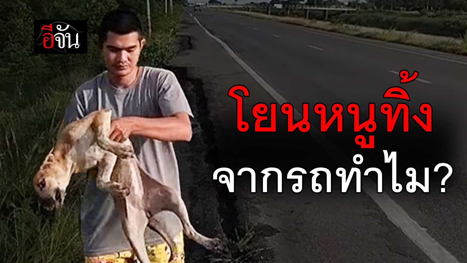 🎬 เห็นชีวิตหมา เป็นอะไร ทำไมโยนจากรถ?