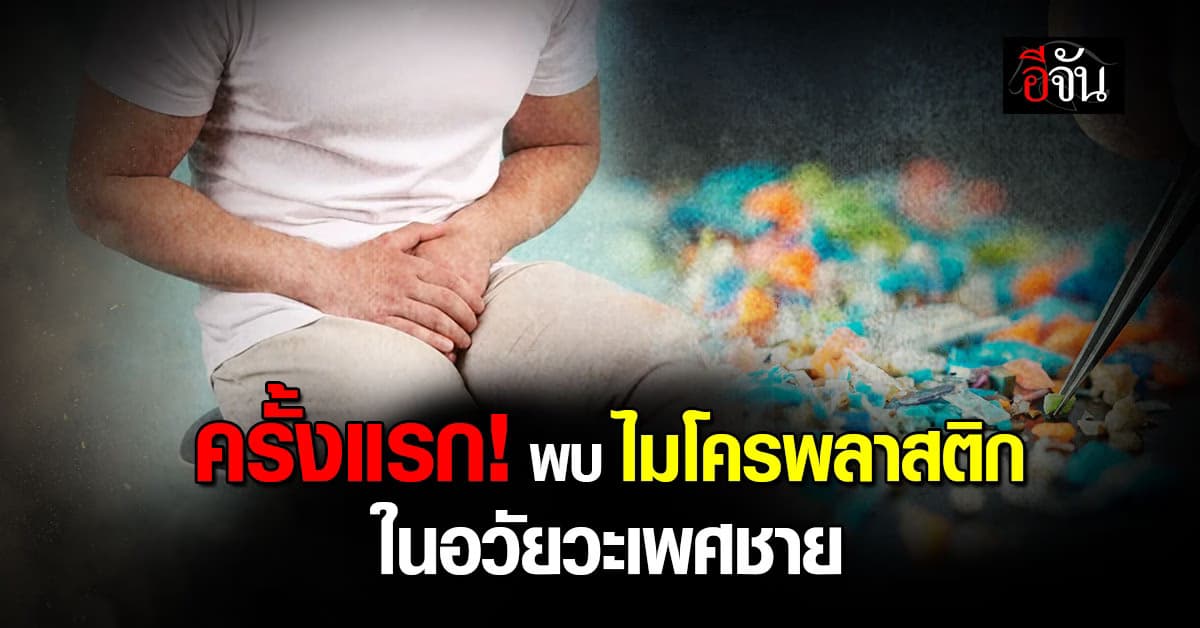 นักวิจัยเผย พบ ไมโครพลาสติก ในอวัยวะเพศชาย สาเหตุเสื่อมสมรรถภาพ 