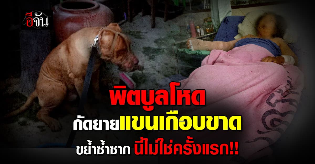 พิตบูลโหด! ขย้ำซ้ำซาก ยายแขนหวิดขาด                 ชาวบ้านซัด นี่ไม่ใช่ครั้งแรก!!