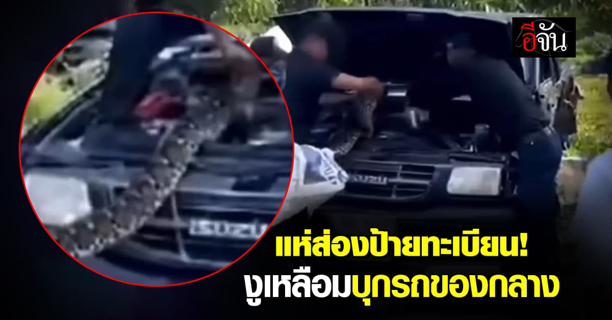 คอหวยฮือฮา! แห่ส่องป้ายทะเบียน “งูเหลือมตัวเขื่อง” บุกรถของกลาง