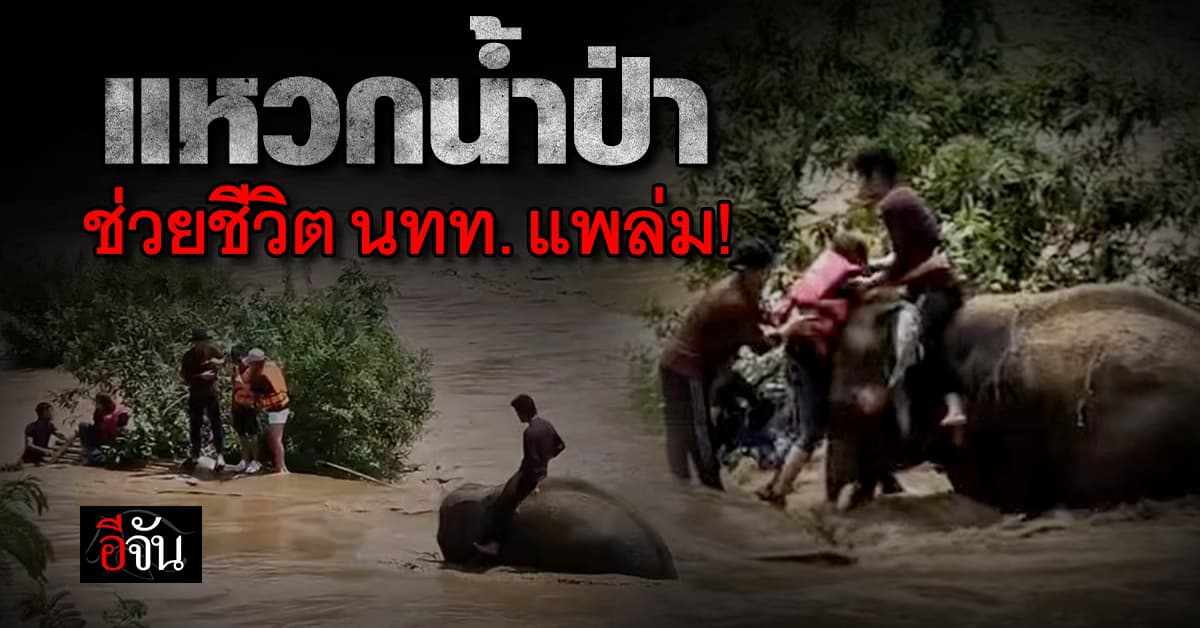 ชื่นชม “ทีมควาญช้างตระกูลแสน” ควบช้างคู่ใจช่วย นทท. แพล่ม