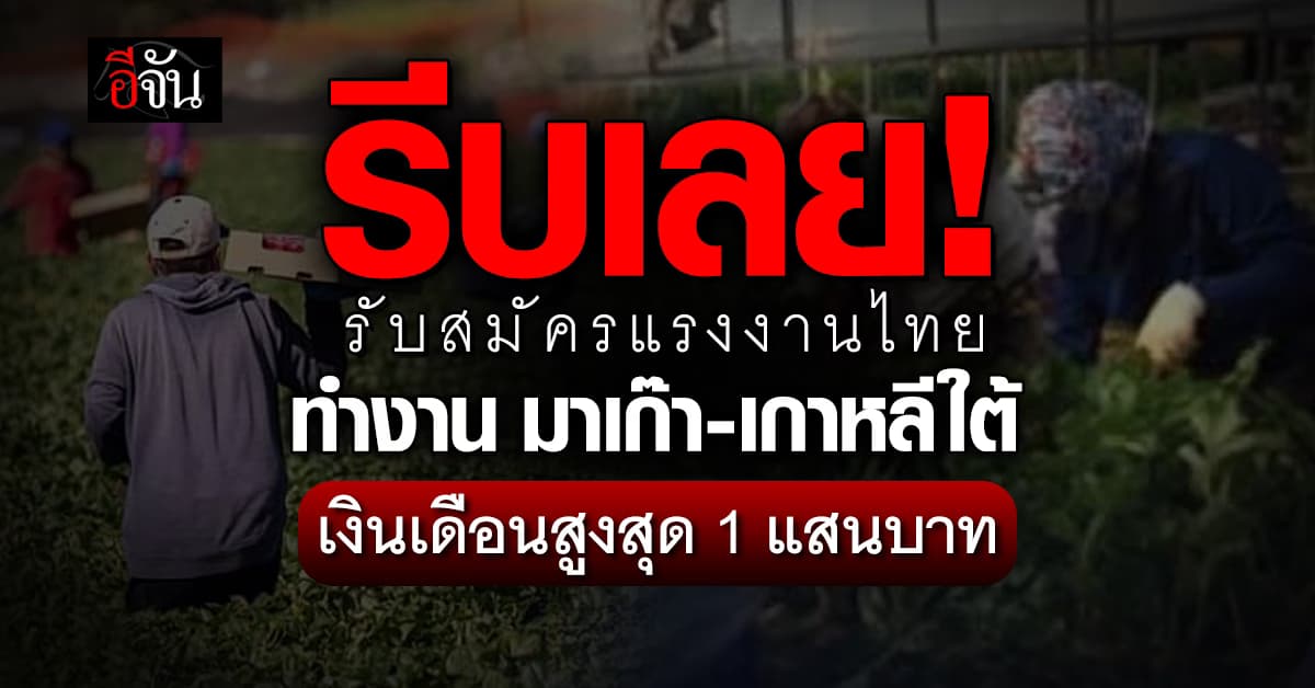 รีบเลย! รับสมัครแรงงานไทยทำงานมาเก๊า-เกาหลีใต้ เงินเดือนสูงสุด 1 แสนบาท