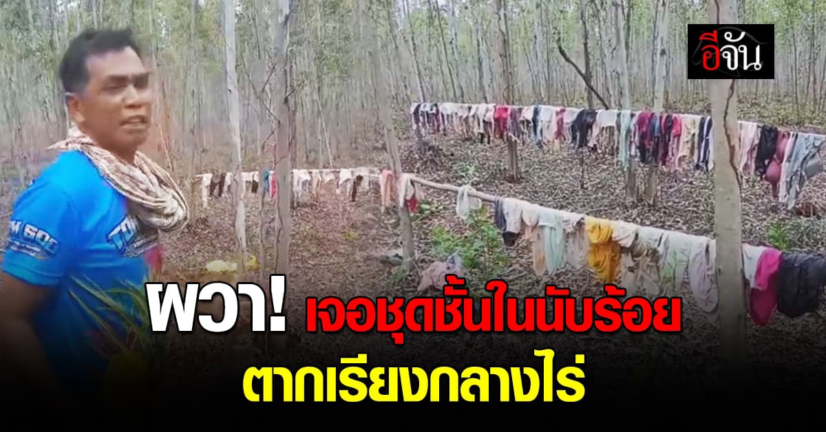ชาวบ้านผวา! เจอชุดชั้นในผู้หญิงนับร้อยตัว ตากเรียงกลางไร่