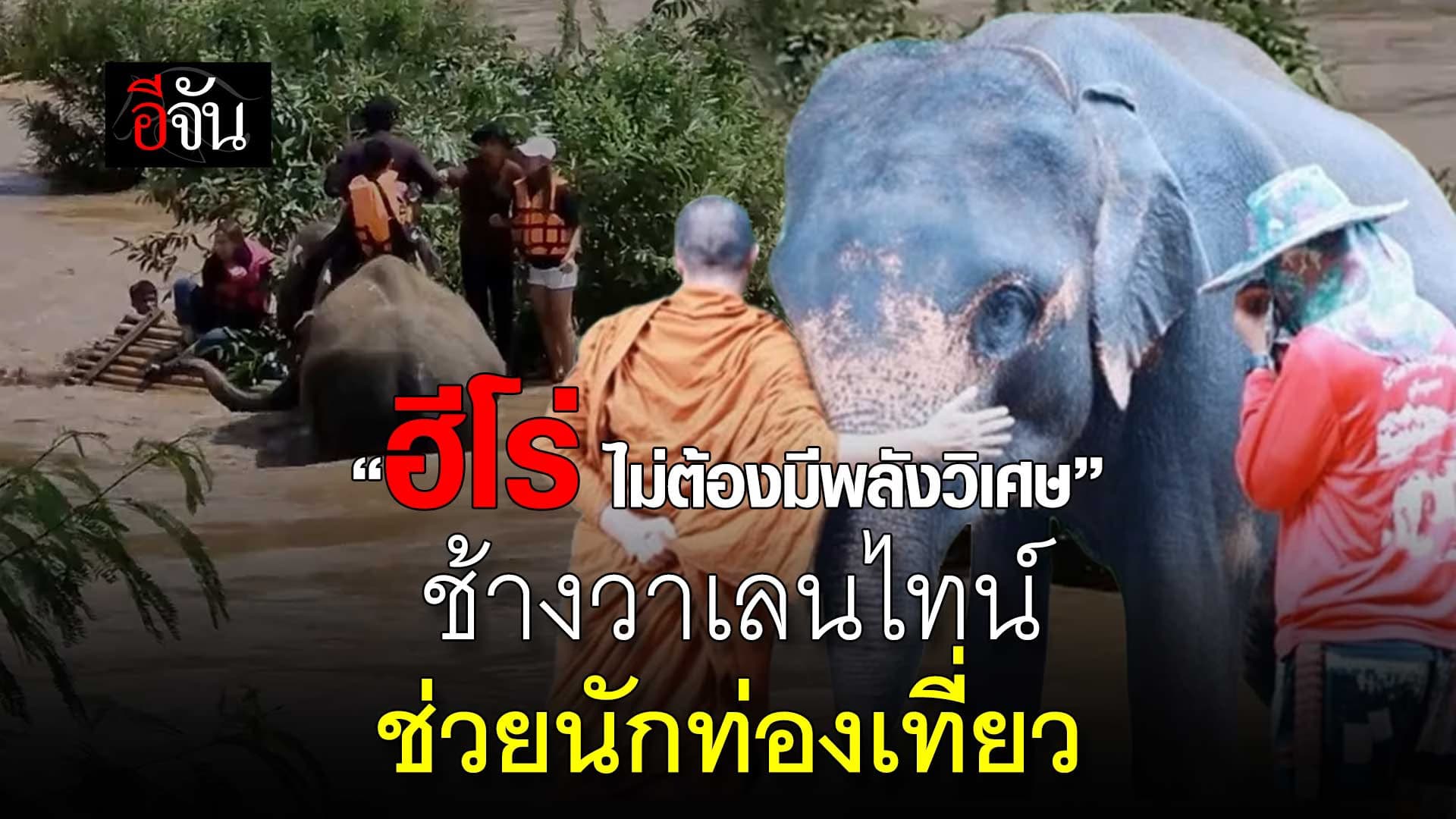 🎬 เปิดชีวิต พลายวาเลนไทน์ ช่วยนักท่องเที่ยว