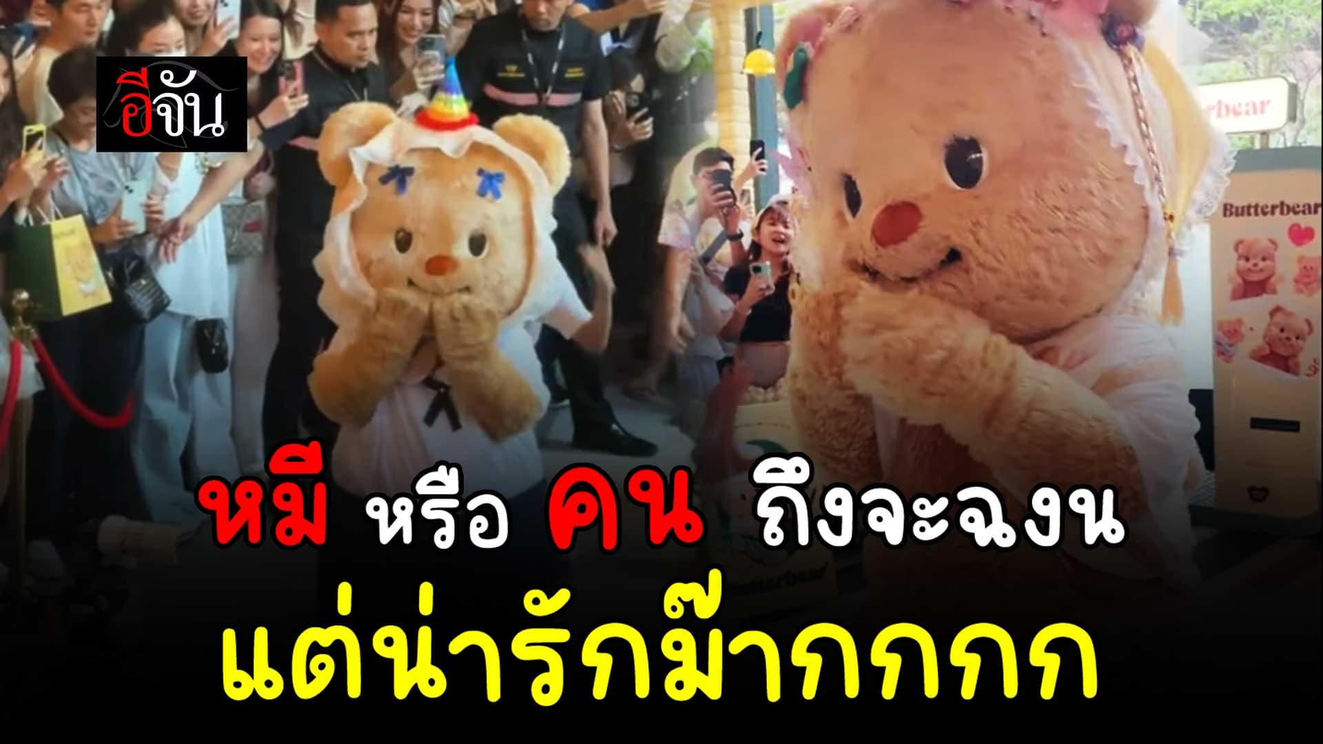 🎬 น้องหมีเนย ไอดอลสาวคนใหม่ ทำเอาแฟนคลับโดนตกกันไปเต็มๆ