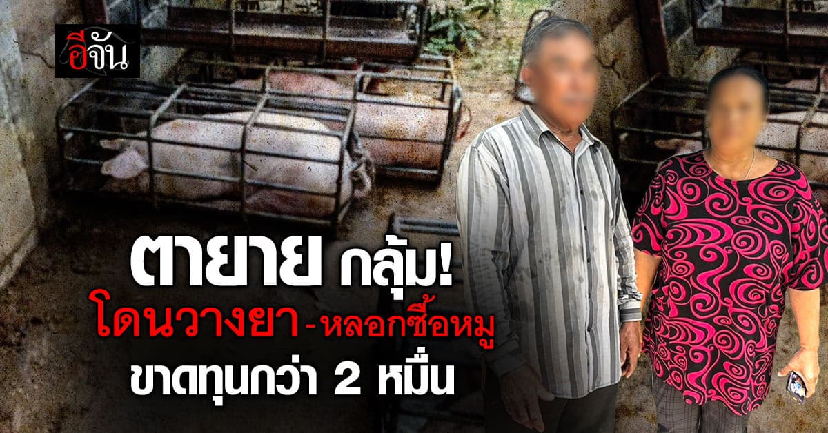 ตายาย กลุ้ม! โดนหลอกซื้อหมู ขาดทุนกว่า 2 หมื่น คาดถูกวางยา เพราะดื่มน้ำแล้วมึนงง