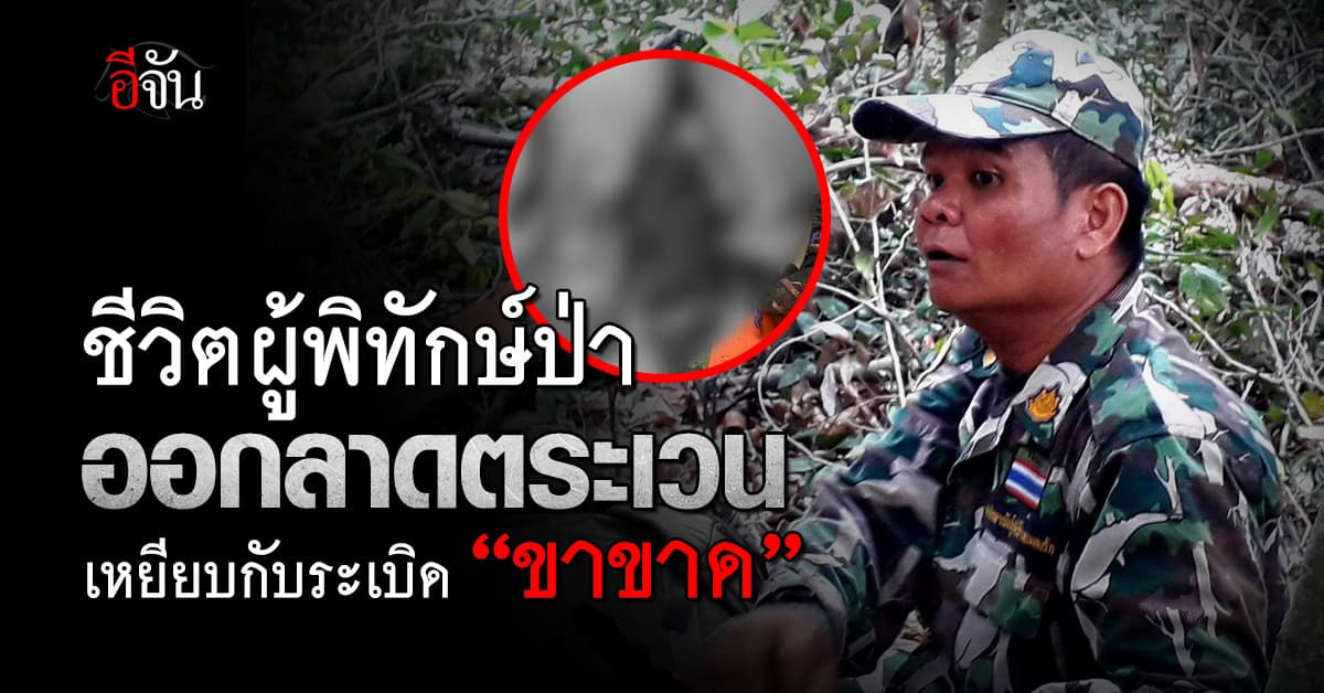 น่าห่วง! ชีวิตผู้พิทักษ์ป่า ออกลาดตระเวน เหยียบกับระเบิด “ขาขาด” 