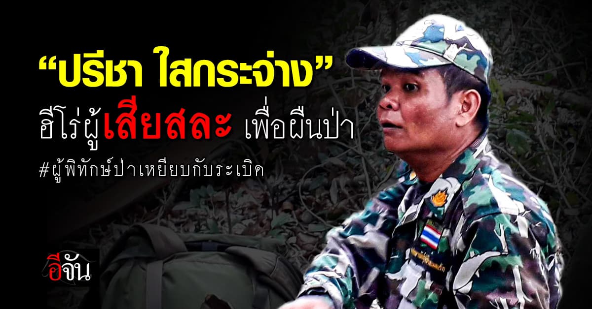 “ปรีชา ใสกระจ่าง” ฮีโร่ผู้พิทักษ์ป่า ผู้เสียสละ เพื่อผืนป่าทุกตารางนิ้ว #ผู้พิทักษ์ป่าเหยียบกับระเบิด