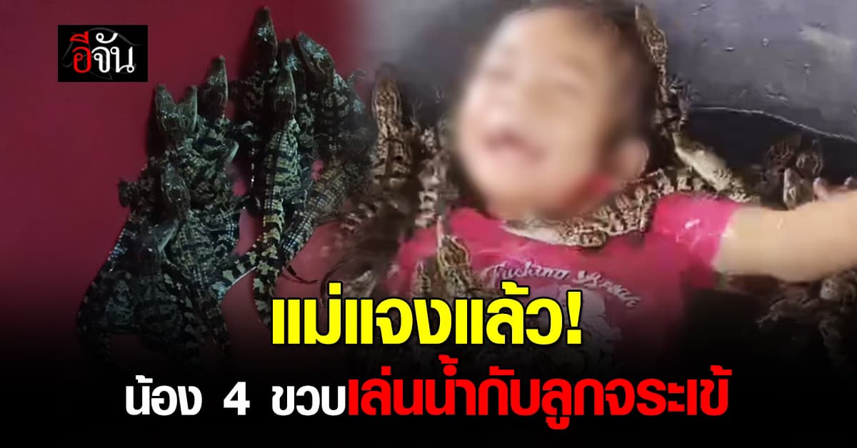 ดราม่าสนั่น! คลิปเด็กเล่นน้ำ กลางลูกจระเข้นับร้อย สุดท้าย แม่ชี้แจงแล้ว