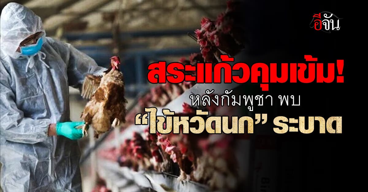สระแก้ว คุมเข้ม! หลังกัมพูชา พบ “ไข้หวัดนก H5N1” ระบาด 