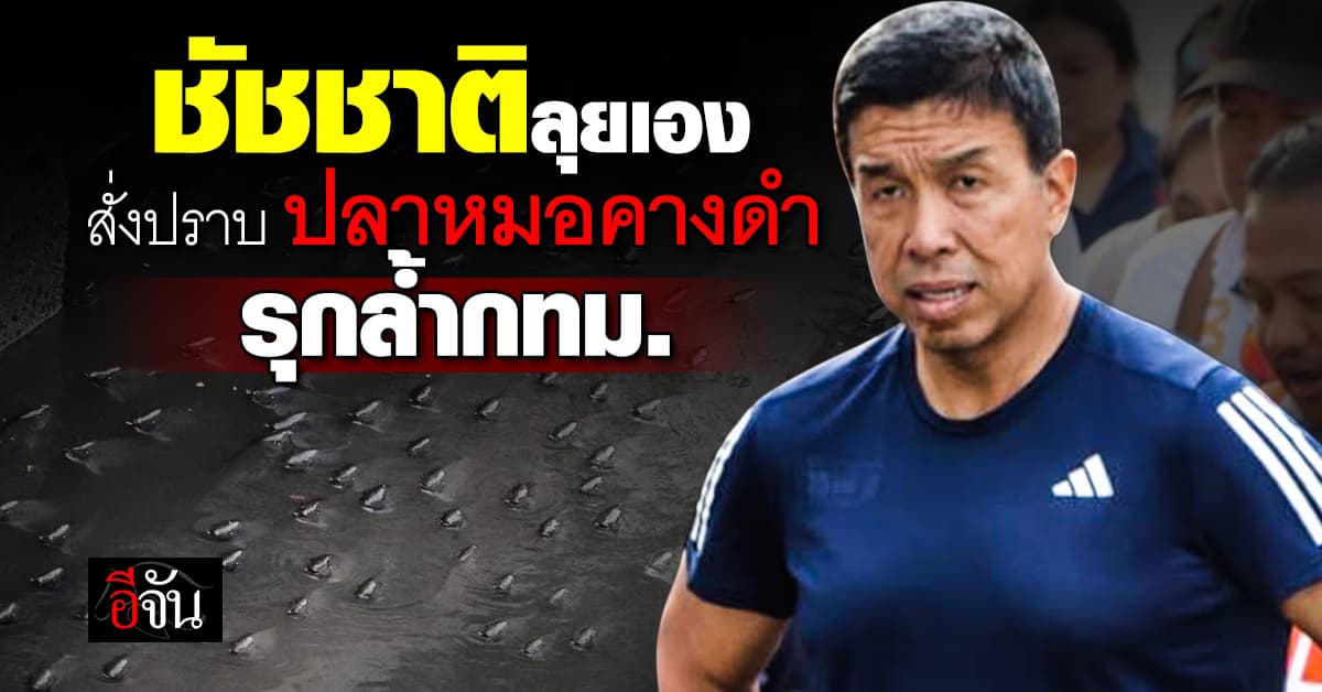 ผู้ว่าฯกทม. ลงเอง คุมเข้ม 3 เขต เร่งปราบ ปลาหมอคางดำ