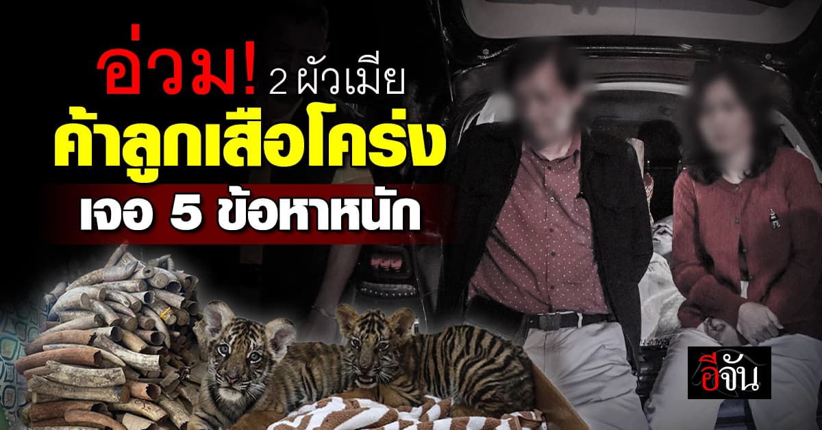 ตำรวจแจ้ง 5 ข้อหาหนัก สองผัวเมีย ลักลอบค้าสัตว์ป่า