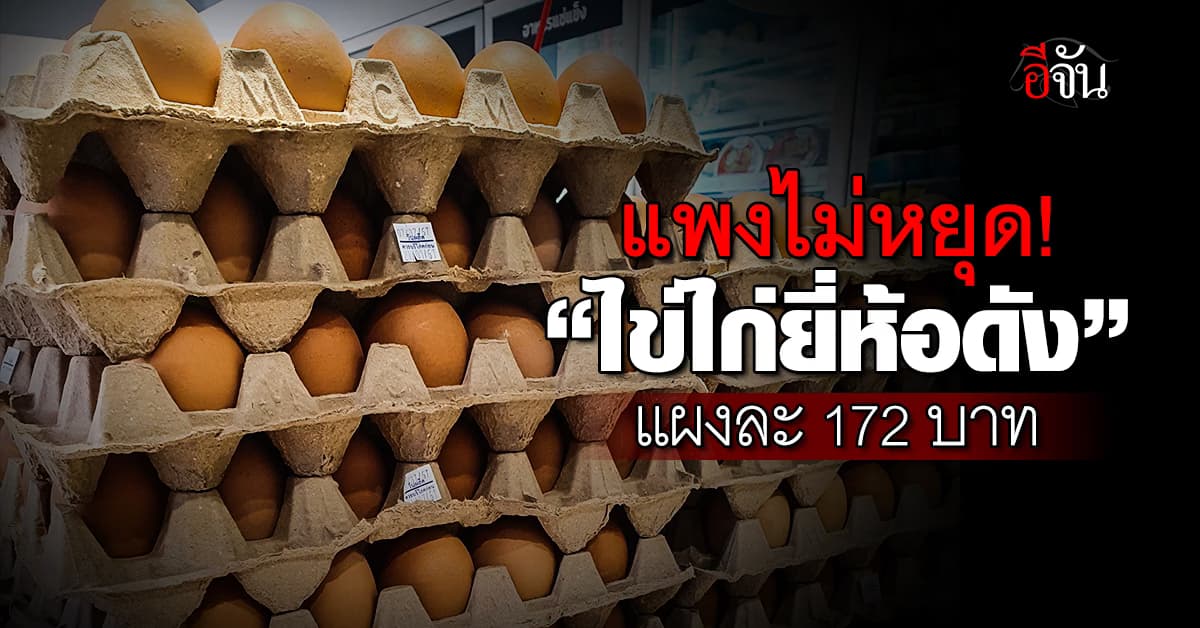อึ้ง “ไข่ไก่ยี่ห้อดัง” แผงละ 172 บาท ซ้ำค่าครองชีพขึ้นไม่หยุด
