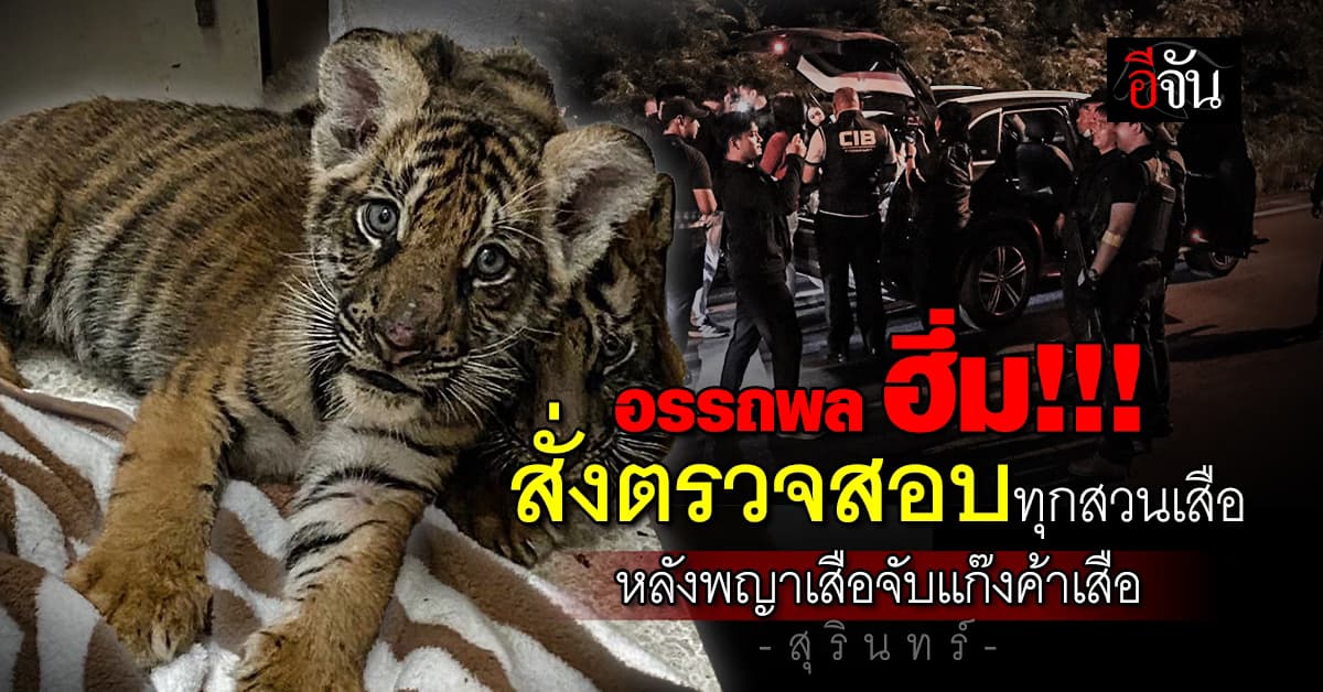 อรรถพล สั่งตรวจสอบทุกสวนเสือ หลังพญาเสือ จับ 2 ผัวเมียลักลอบค้าเสือโคร่งที่สุรินทร์