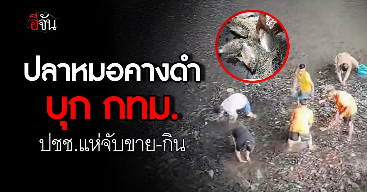 ยั๊วเยี๊ยเต็มบึง! ปลาหมอคางดำ บุกบึงมักกะสัน ประชาชนแห่จับคึกคัก