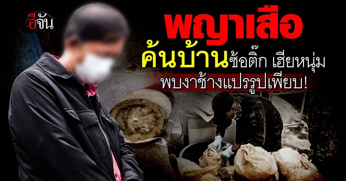 พญาเสือค้นบ้าน ซ้อติ๊ก-เฮียหนุ่ม เจองาช้างแปรรูปอีกเพียบ