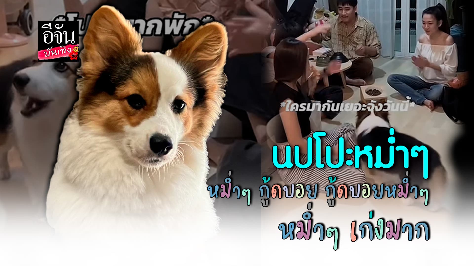🎬คลิปบันเทิง :นปโปะหม่ำๆ เพลงบิ้วน้องหมากินข้าวสุดฮิต ยอดวิวหลักล้าน