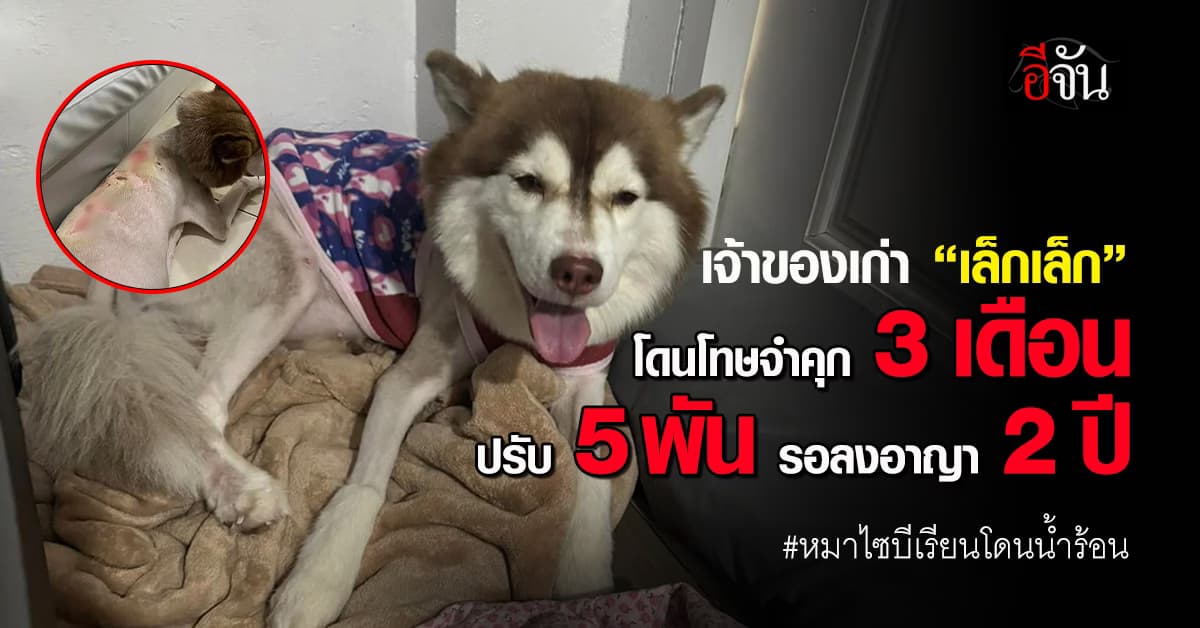 ศาลสั่งจำคุกเจ้าของเก่า ราดน้ำร้อนใส่ “เล็กเล็ก” 3 เดือน ปรับ 5 พันบาท รอลงอาญา 2 ปี