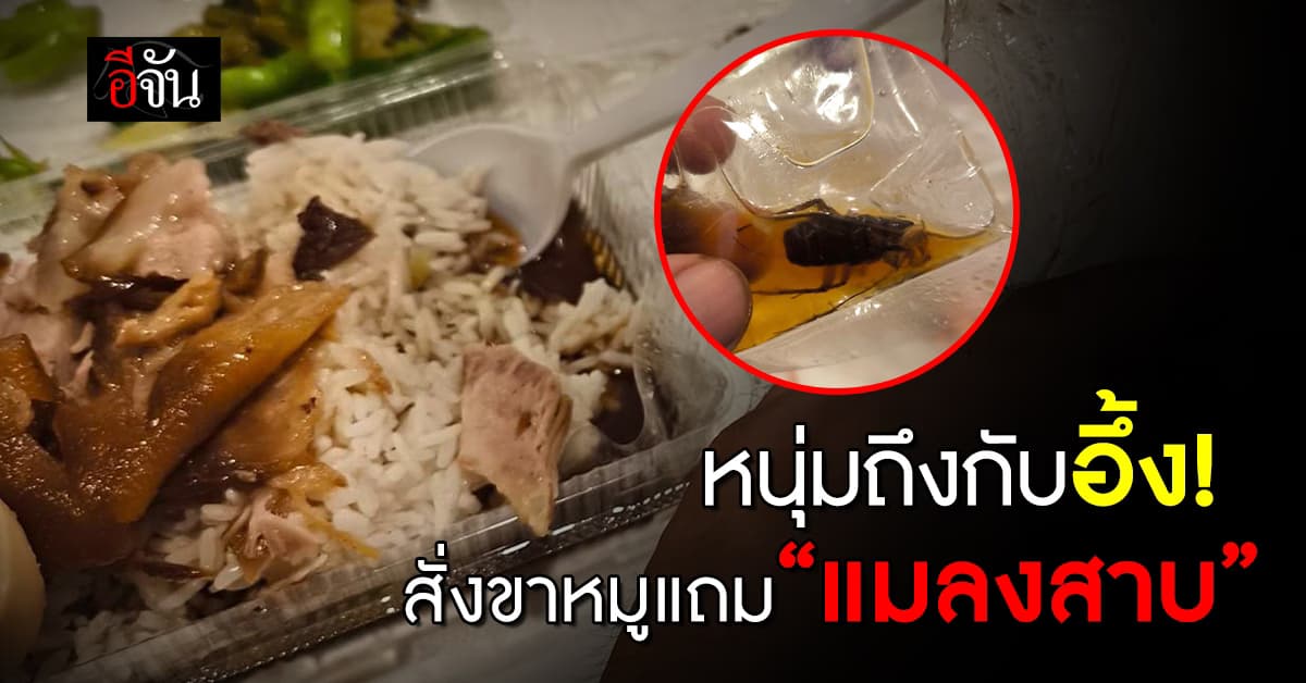 หนุ่มโพสต์สั่งขาหมูแต่เจอ “แมลงสาบ” เอาคืนร้านแต่เจ้าของบอก “ไม่เคยเจอ”