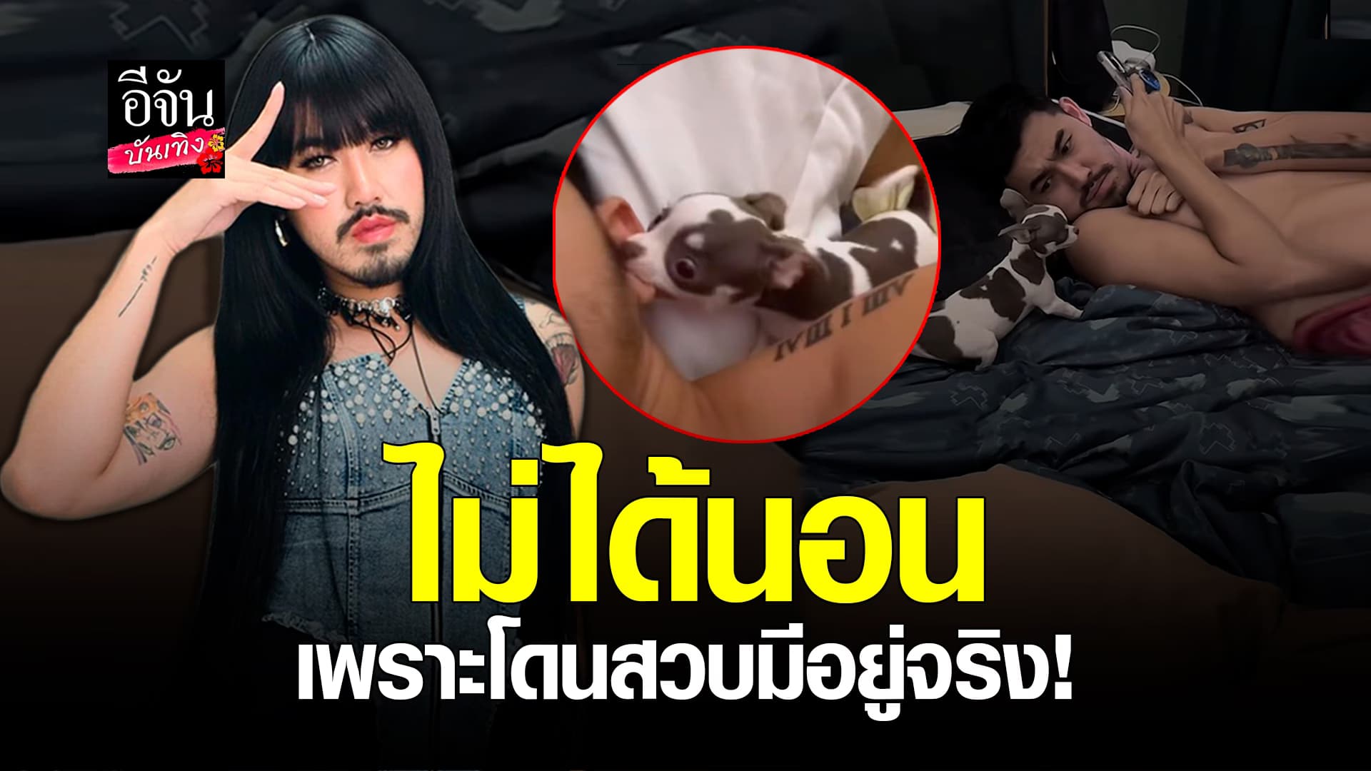 🎬คลิปบันเทิง : ยังไม่ได้นอน! ม้าม่วง ไม่ไหวโดน น้องนัวร์ กวนทั้งคืน เลี้ยงหมาแต่ได้งู สวบเก่งไม่ไหว