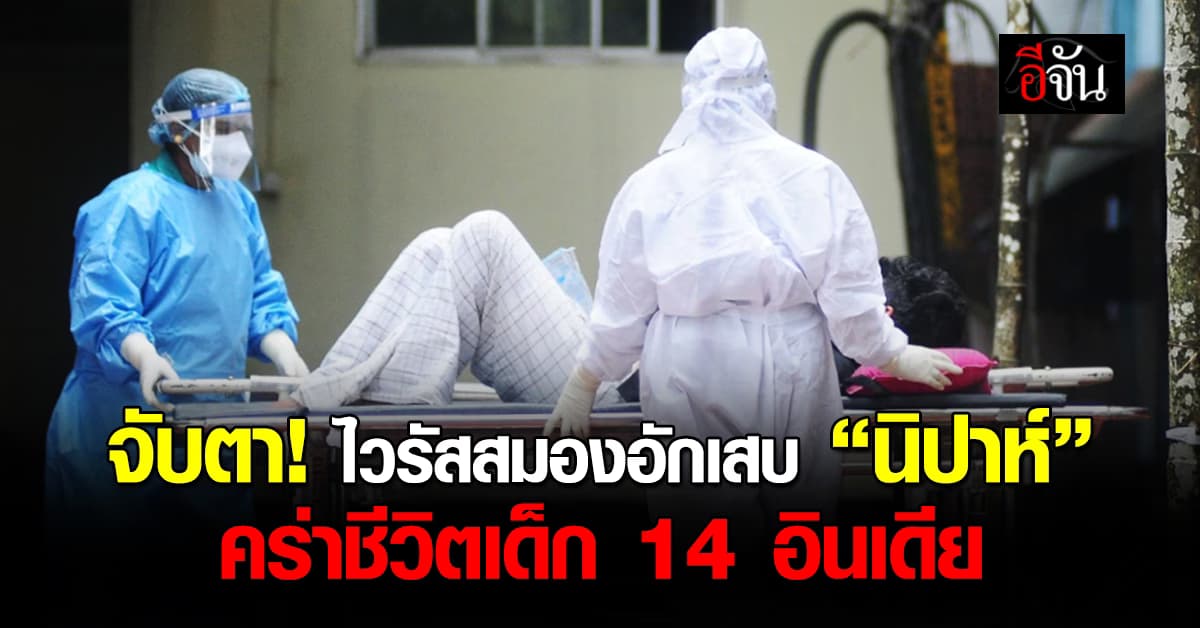 จับตา! ไวรัสสมองอักเสบ “นิปาห์” คร่าชีวิตเด็ก 14 อินเดีย