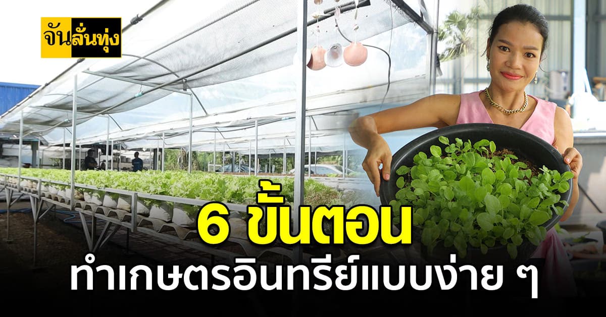 6 ขั้นตอน เริ่มต้นทำเกษตรอินทรีย์แบบง่าย ๆ