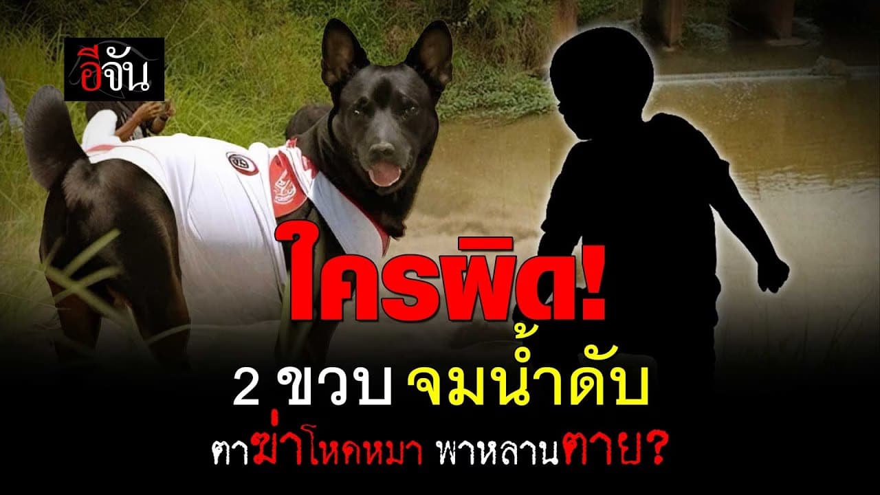 🎬 ใครผิด! หลานจมน้ำดับ ตาฆ่าโหดหมา พาหลานตาย?