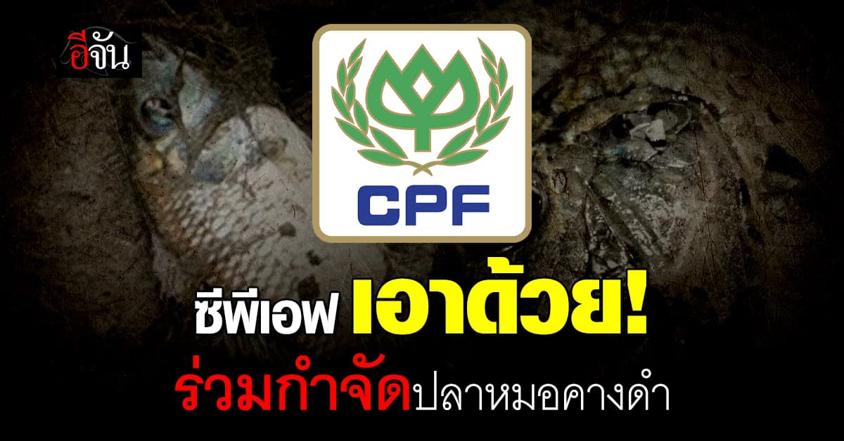 ซีพีเอฟ ประสานพลัง 3 มหาวิทยาลัย ร่วมกำจัด ปลาหมอคางดำ