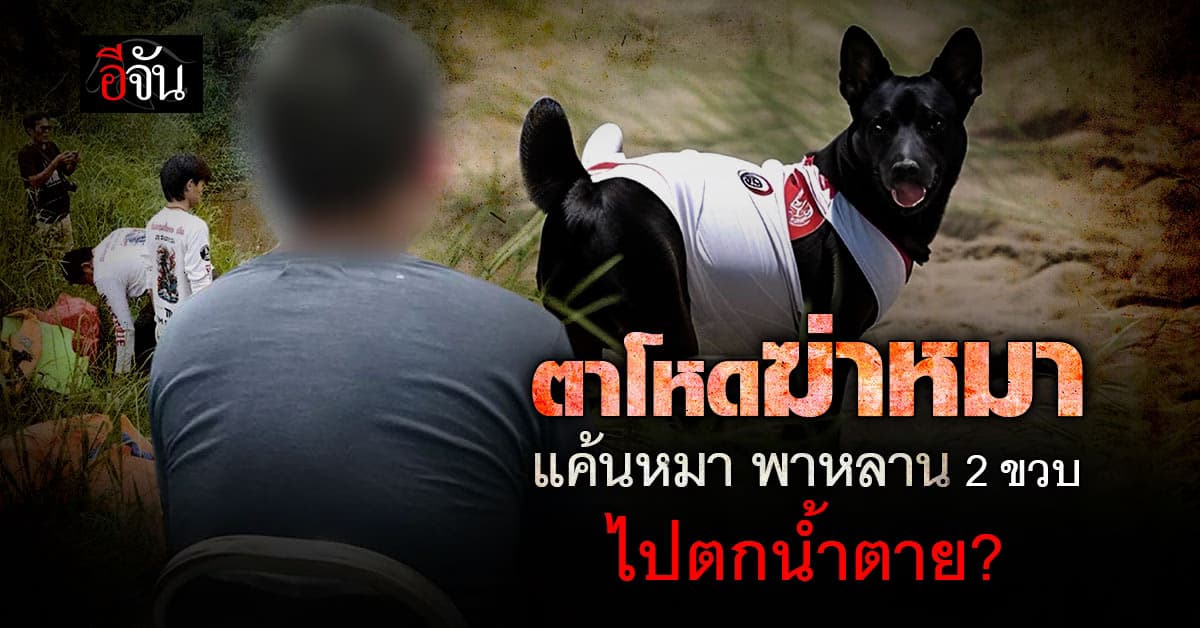 สลดใจ ตาฆ่าโหดหมา โยนทิ้งน้ำ แค้นหมาพาหลาน 2 ขวบ ไปตกน้ำตาย