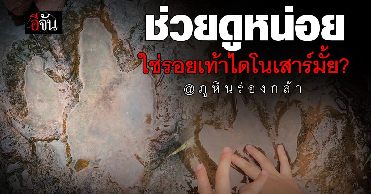 ฮือฮา ! นักท่องเที่ยวค้นพบ รอยเท้าไดโนเสาร์ โผล่ภูหินร่องกล้า