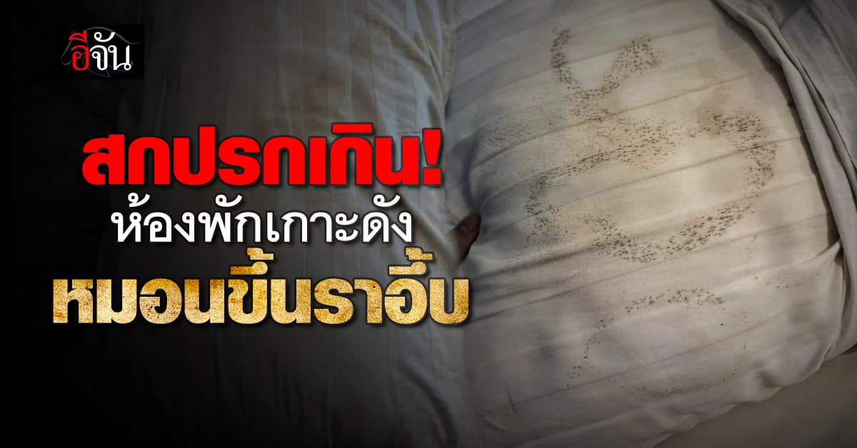 สาวโพสต์ จองที่พักเกาะดังราคาแพง เจอหมอนขึ้นรา-ห้องน้ำกลิ่นเหม็น