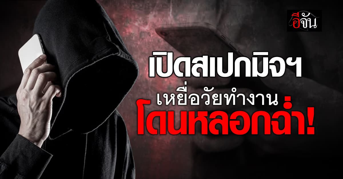 เปิดสถิติเหยื่อแก๊งตุ๋นออนไลน์ พบวัยทำงานนำโด่ง 41.51% อายุ 30-44 ปี