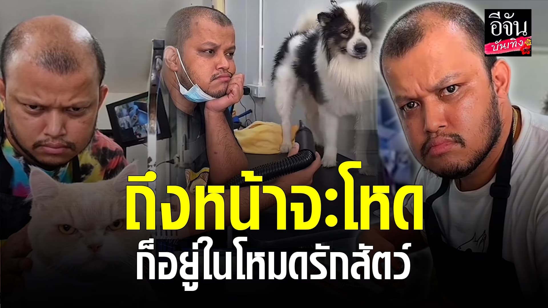 🎬คลิปบันเทิง : ช่องท้อป ด็อกอาร์ ตัวตึงวงการอาบน้ำตัดขนหมา-แมว ขี้วีนแค่ไหนก็มาเลย ช่างรับจบเอง