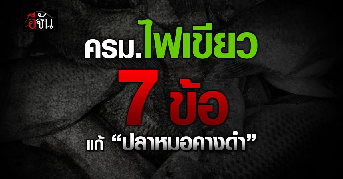 ครม.ไฟเขียว 7 มาตรการ แก้ปัญหา “ปลาหมอคางดำ”