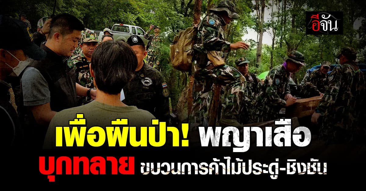 หน่วยพญาเสือ บุกทลายขบวนการค้าไม้ ยึดไม้ท่อน-ไม้แปรรูปเพียบ