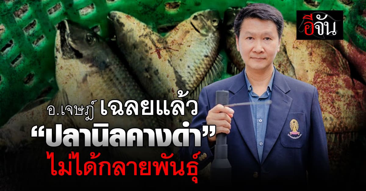 อ.เจษฎ์ ไขข้อสงสัยปม “ปลานิลคางดำ” โผล่วังกุ้งคลองด่าน ไม่ได้กลายพันธุ์