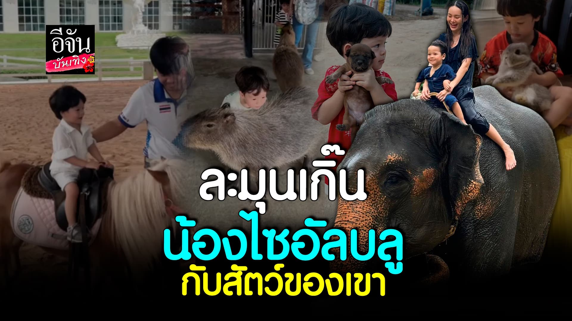 🎬คลิปบันเทิง : ปุ้มปุ้ย พรรณทิภา – กวินท์ พาลูกชายสัมผัส ธรรมชาติ เล่นกับพี่ช้าง น่ารักเกินไปแล้ว