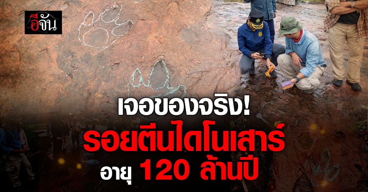 ไทยพบ “รอยตีนไดโนเสาร์ดึกดำบรรพ์” คาดอายุ 120 ล้านปี