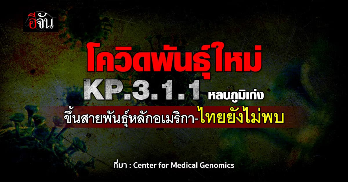 โควิดพันธุ์ใหม่ KP.3.1.1 หลบภูมิเก่ง ขึ้นสายพันธุ์หลักอเมริกา-ไทยยังไม่พบ