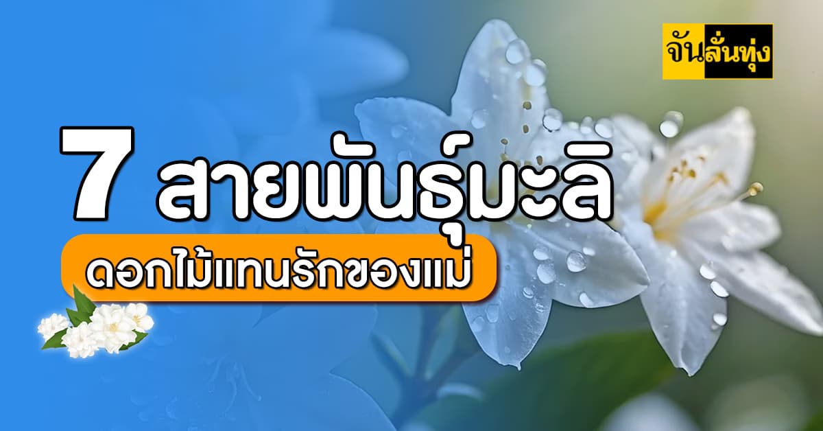 7 สายพันธุ์มะลิ ดอกไม้แทนรักของแม่
