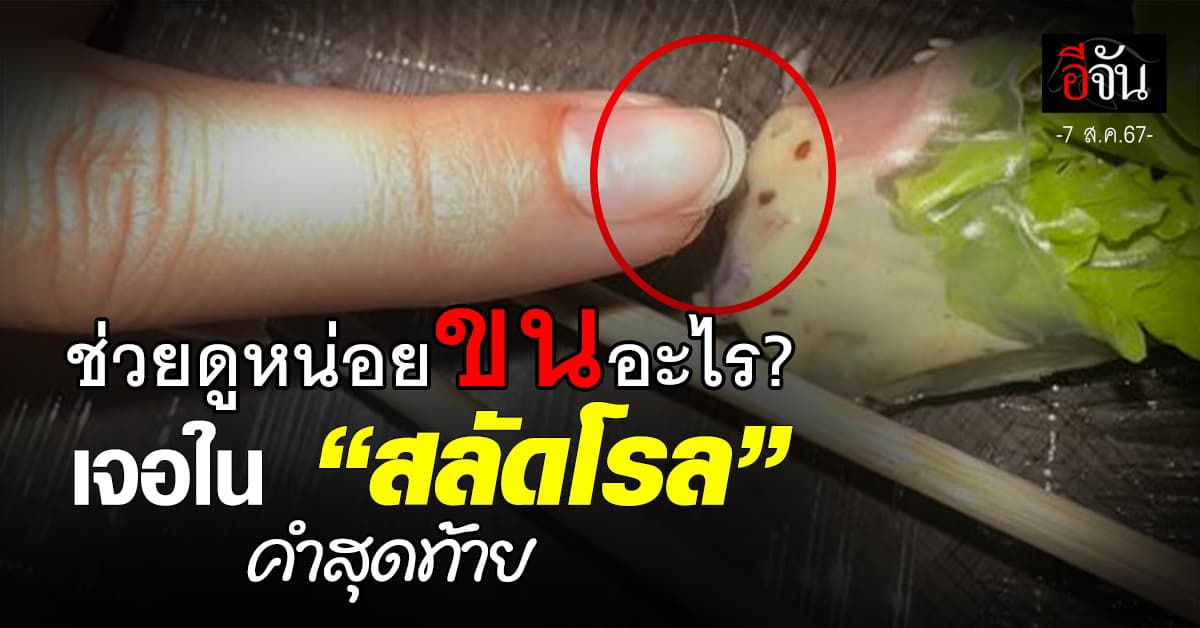 ช่วยดูหน่อย ขนอะไร? กัด “สลัดโรล” ชิ้นสุดท้ายแล้วเจอ