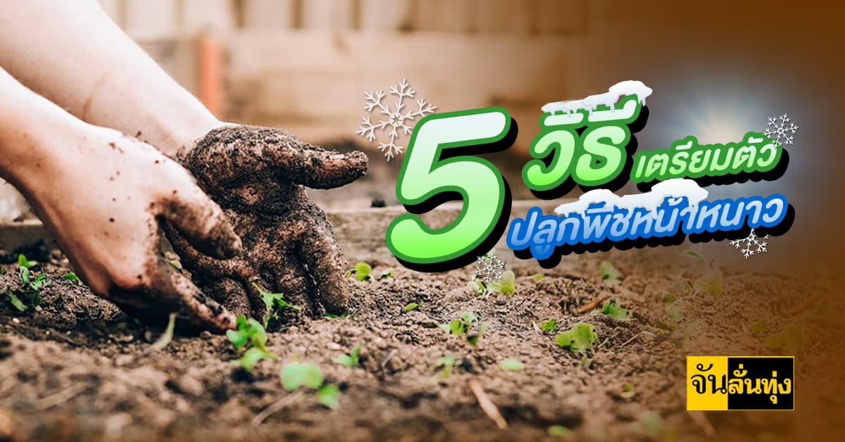5 วิธี เทคนิคเตรียมตัวปลูกพืชผักช่วงหน้าหนาว