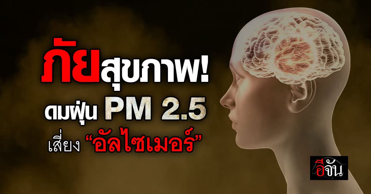 สูดดมฝุ่นพิษ PM 2.5 เพิ่มความเสี่ยงเป็นโรคอัลไซเมอร์-สมองฝ่อ
