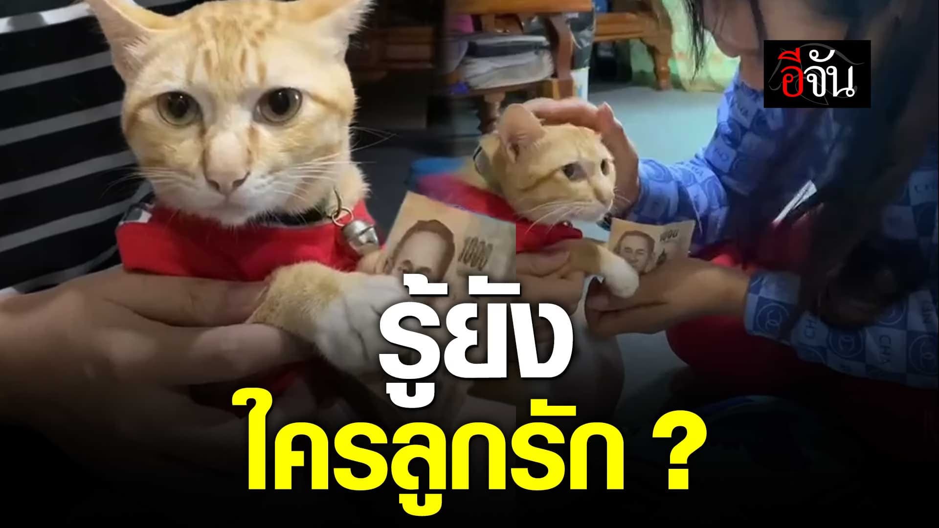 🎬 วันแม่ ก็ต้องไหว้แม่ด้วย รู้ยัง ใครลูกรัก ?