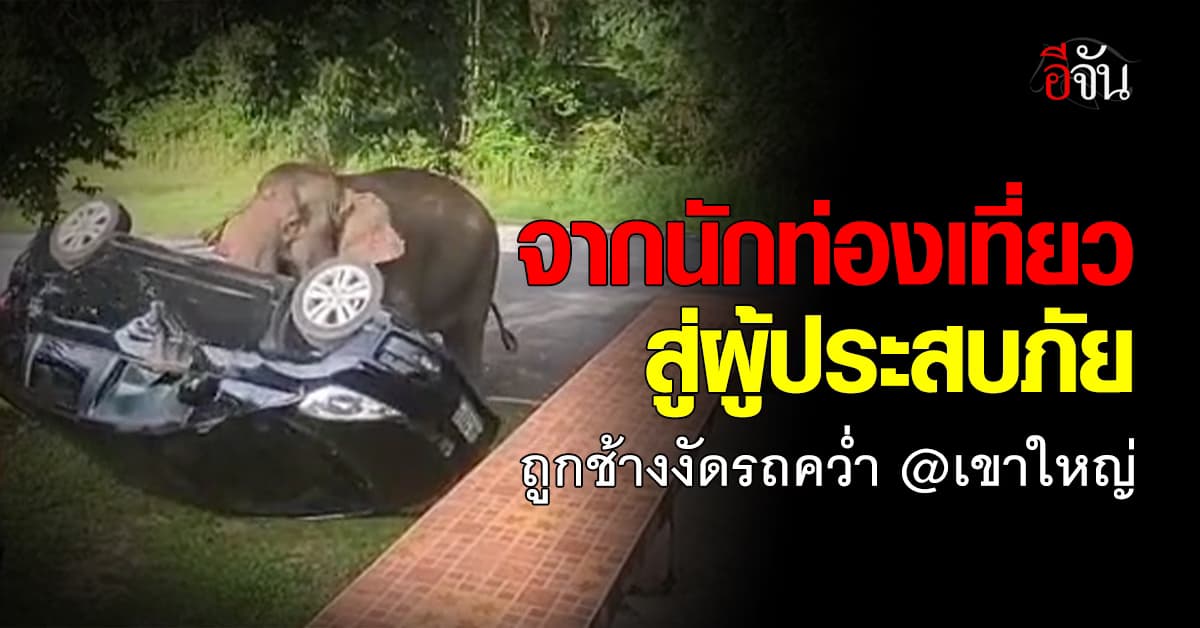 นาทีระทึก! จากนักท่องเที่ยว สู่ผู้ประสบภัย ถูกช้างเขาใหญ่งัดรถคว่ำ