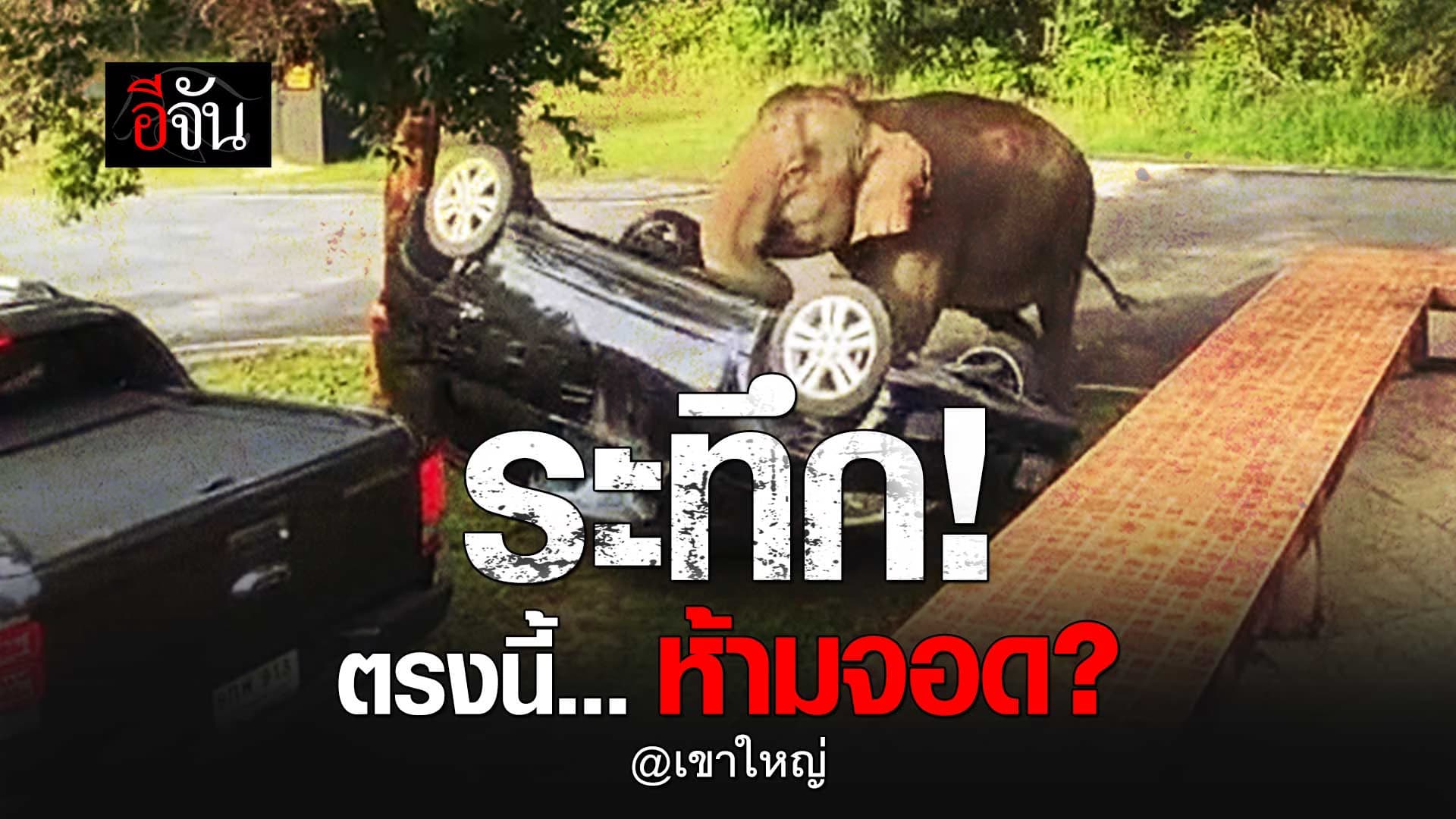 🎬 ที่ตรงนี้ห้ามจอด ลูกช้าง เขาใหญ่ ไม่ได้น่ารักอย่างที่คิด