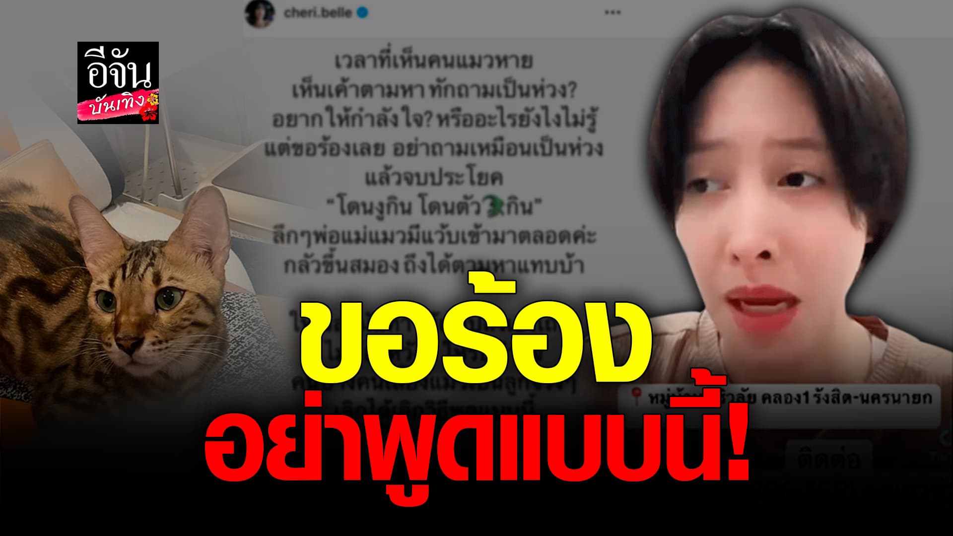 🎬คลิปบันเทิง : ใจสลาย เฌอเบลล์ ลัลณ์ลลิน ประกาศตามหาแมว เจอคนพูดแบบนี้